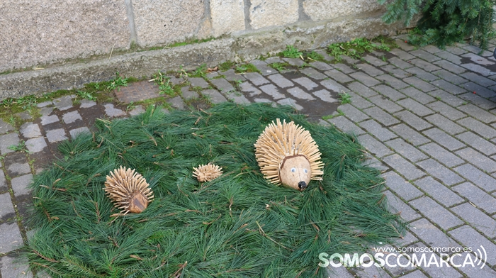 somoscomarca_23124692