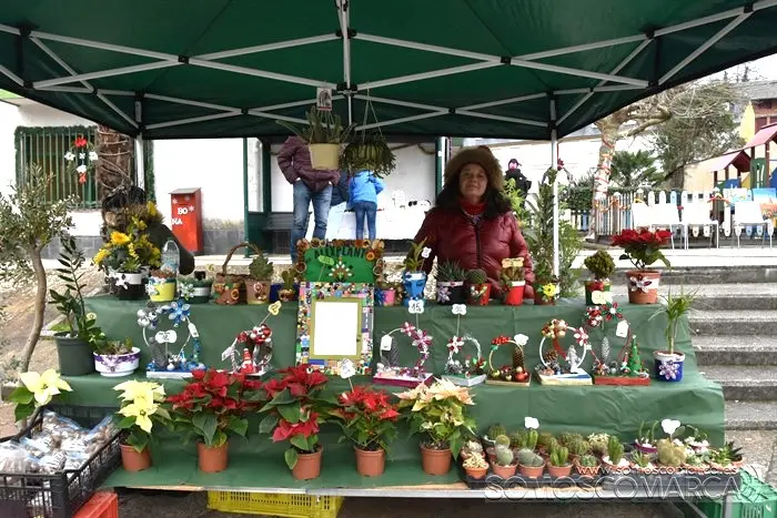 somoscomarca_vilamartin_mercadillonavadl_2023 (15)