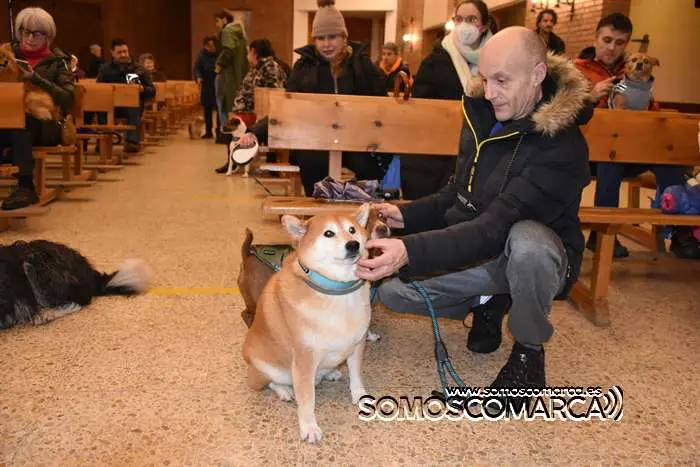 somoscomarca_obarco_iglesia_santarita_bendicionmascotas_2024 (5)