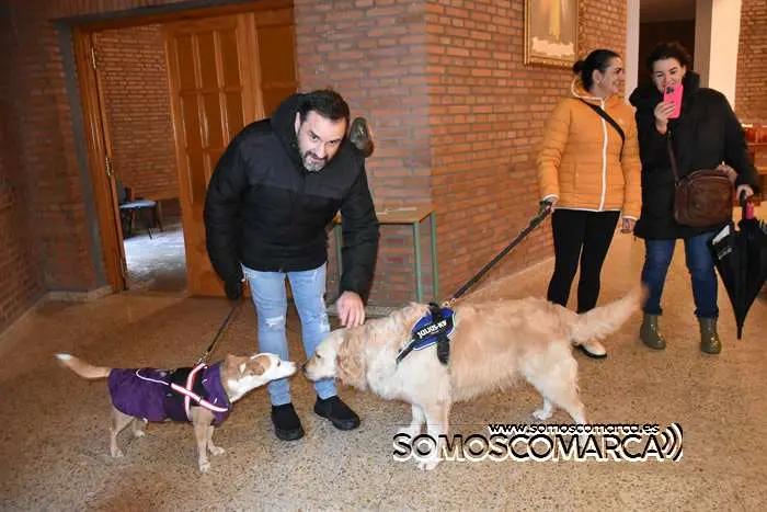 somoscomarca_obarco_iglesia_santarita_bendicionmascotas_2024 (13)