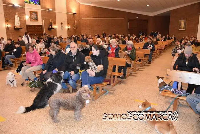 somoscomarca_obarco_iglesia_santarita_bendicionmascotas_2024 (16)