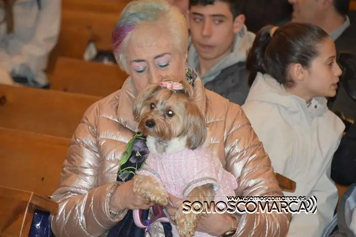 somoscomarca_obarco_iglesia_santarita_bendicionmascotas_2024 (17)