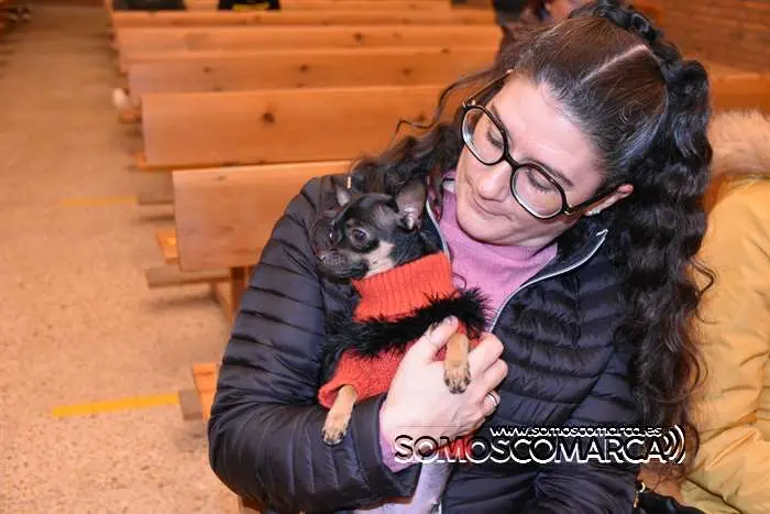 somoscomarca_obarco_iglesia_santarita_bendicionmascotas_2024 (19)