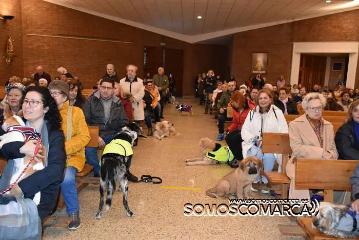 somoscomarca_obarco_iglesia_santarita_bendicionmascotas_2024 (24)
