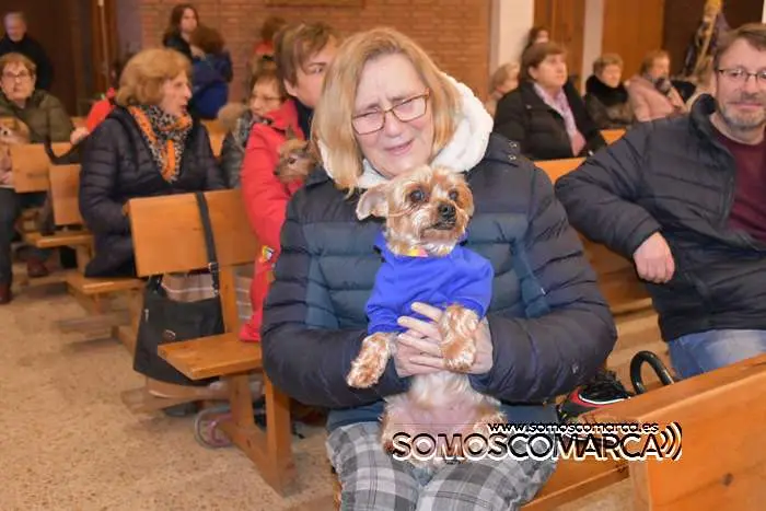 somoscomarca_obarco_iglesia_santarita_bendicionmascotas_2024 (27)