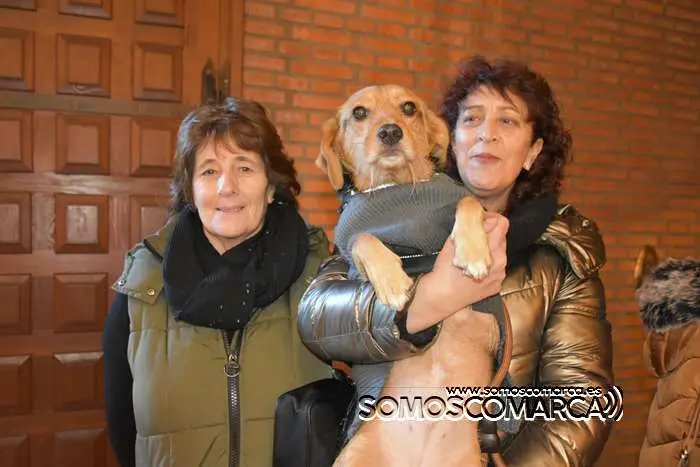 somoscomarca_obarco_iglesia_santarita_bendicionmascotas_2024 (32)