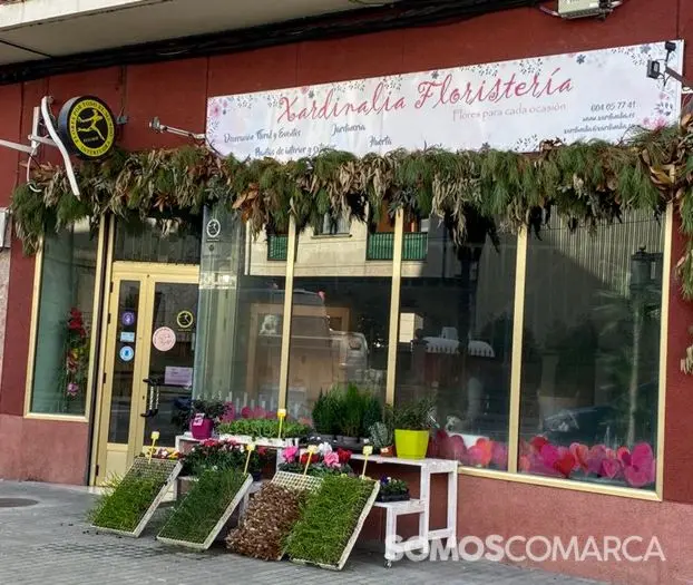 P_somos_comarca_240127_arua_xardinalia (10)