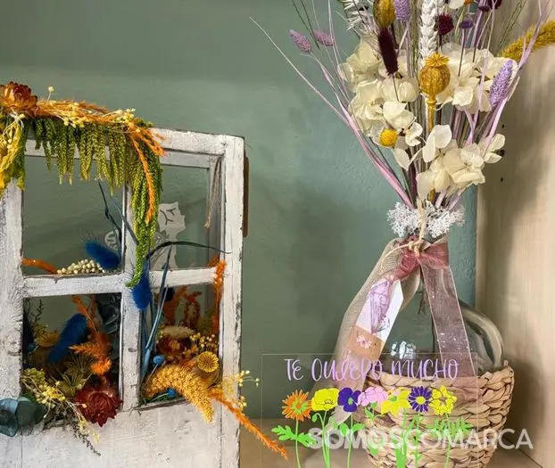 somos_comarca_240127_arua_xardinalia (1)