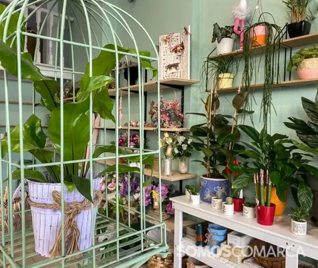 somos_comarca_240127_arua_xardinalia (2)