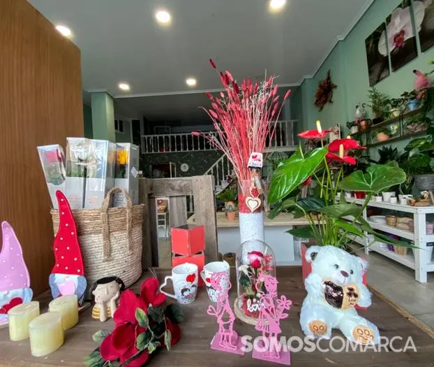 somos_comarca_240127_arua_xardinalia (5)