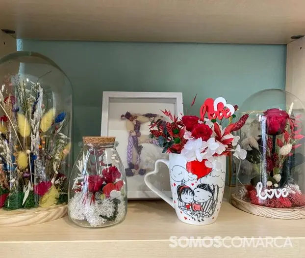 somos_comarca_240127_arua_xardinalia (11)