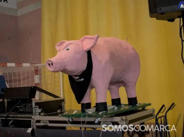 P_somoscomarca_240127_arua_festadocodillo (4)