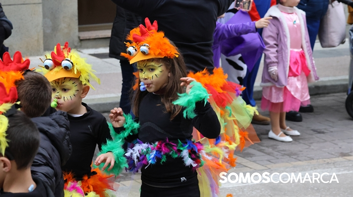 somoscomarca_240211_quiroga_entroido_desfilecomparsas (75)