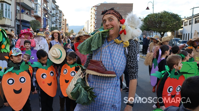 somoscomarca_240213_obarco_entroido_desfiledecomparsas5791