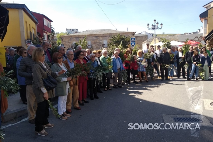somoscomarca_240324_petin_domingoderamos_ramos (21)