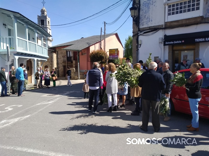 somoscomarca_240324_petin_domingoderamos_ramos (24)