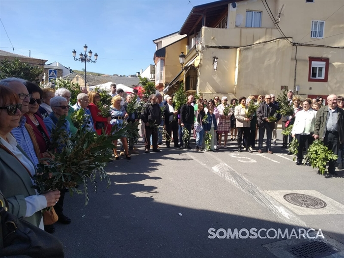 somoscomarca_240324_petin_domingoderamos_ramos (27)