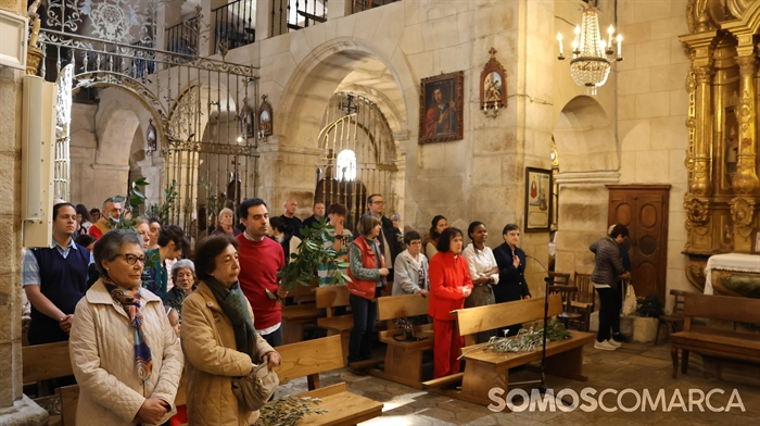 somoscomarca_240324_asermitas_domingoderamos_ramos (64)