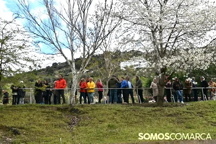 somoscomarca_20240331_asermitas_obolo_estoupadexudas (11)