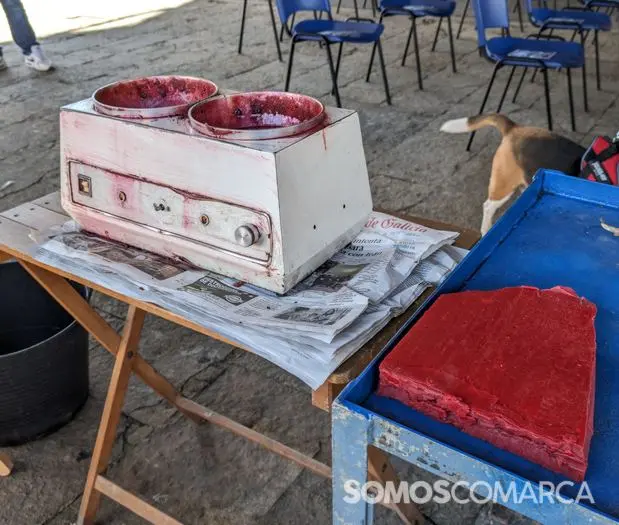 somoscomarca_240420_vilamartin_festadaenxerta (6)