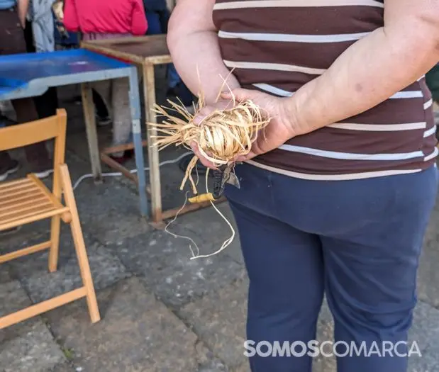 somoscomarca_240420_vilamartin_festadaenxerta (8)