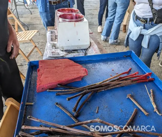 somoscomarca_240420_vilamartin_festadaenxerta (29)