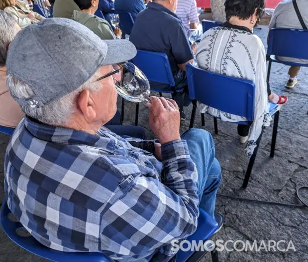 somoscomarca_240420_vilamartin_festadaenxerta (40)