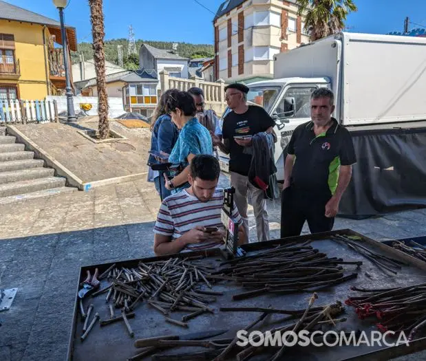 somoscomarca_240420_vilamartin_festadaenxerta (46)