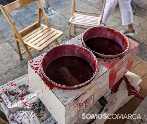 somoscomarca_240420_vilamartin_festadaenxerta (47)
