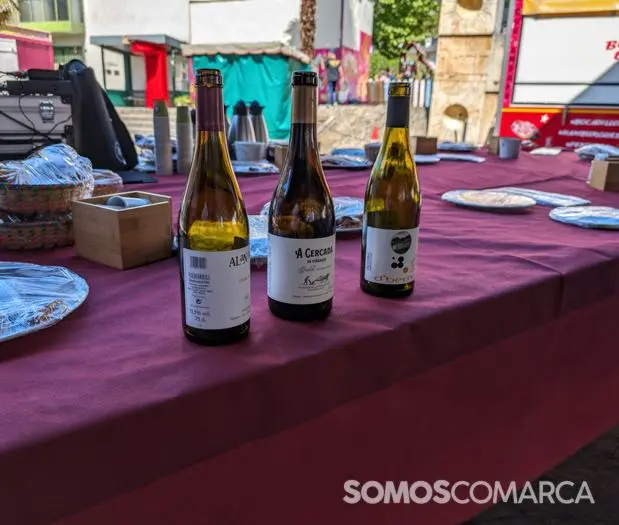 somoscomarca_240420_vilamartin_festadaenxerta (53)