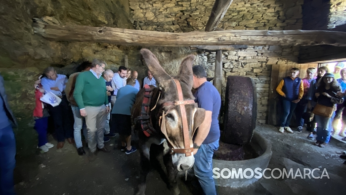 somoscomarca_240421_quiroga_mostradoaceite_ (18)