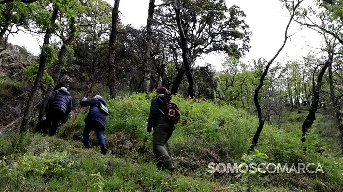 somoscomarca_240501_casaio_sangil_sanxil_romeria_palasdecabras_pinturas_paisaje_ (7)