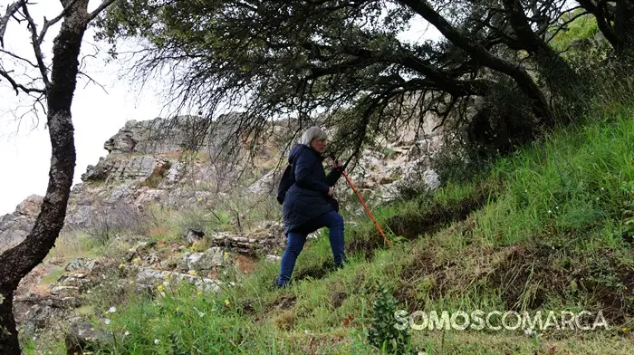 somoscomarca_240501_casaio_sangil_sanxil_romeria_palasdecabras_pinturas_paisaje_ (13)