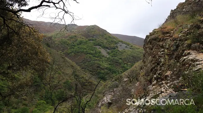 somoscomarca_240501_casaio_sangil_sanxil_romeria_palasdecabras_pinturas_paisaje_ (14)