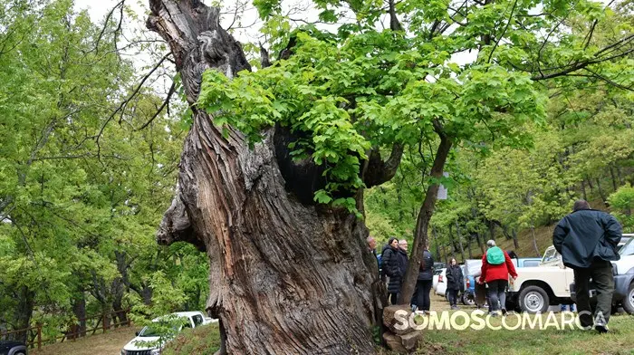 somoscomarca_240501_casaio_sangil_sanxil_romeria_palasdecabras_pinturas_paisaje_ (28)