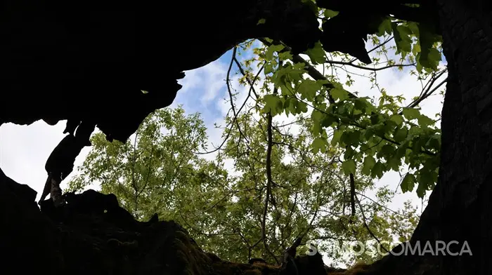 somoscomarca_240501_casaio_sangil_sanxil_romeria_palasdecabras_pinturas_paisaje_ (29)