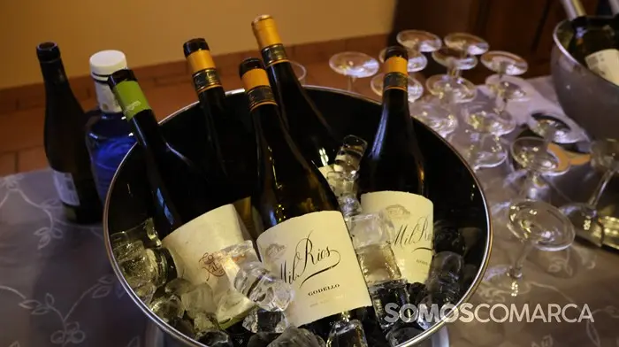 somoscomarca_240503_obarco_vino_godello_primaveraportasabertas_rutadelvino_inauguracion (28)