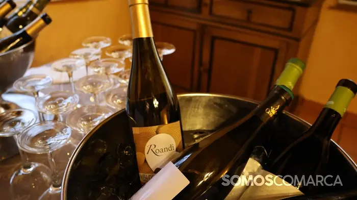 somoscomarca_240503_obarco_primaveraportasabertas_vino_godello_rutadelvino_inauguracion (29)