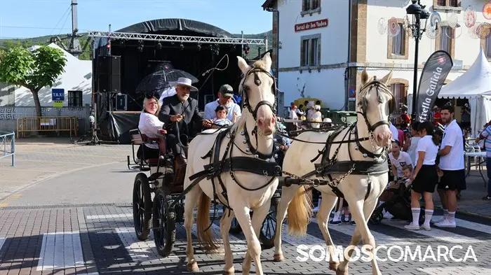 somoscomarca_240601_obarco_feiradoviño_n956