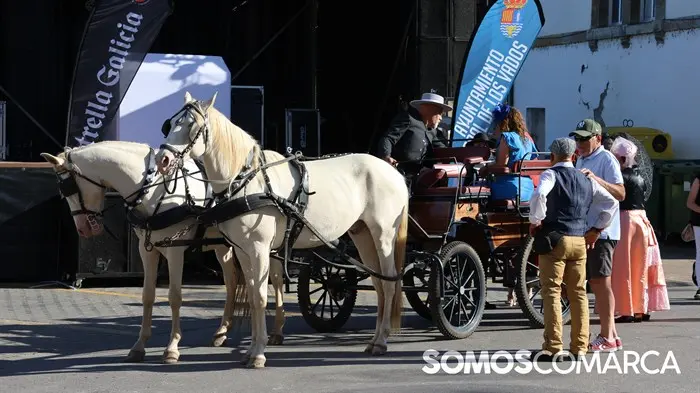 somoscomarca_240601_toralentren