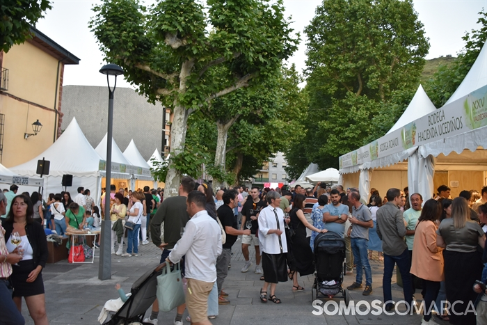 somoscomarca_20240601_obarco_viloira_cata_feiradoviño (45)