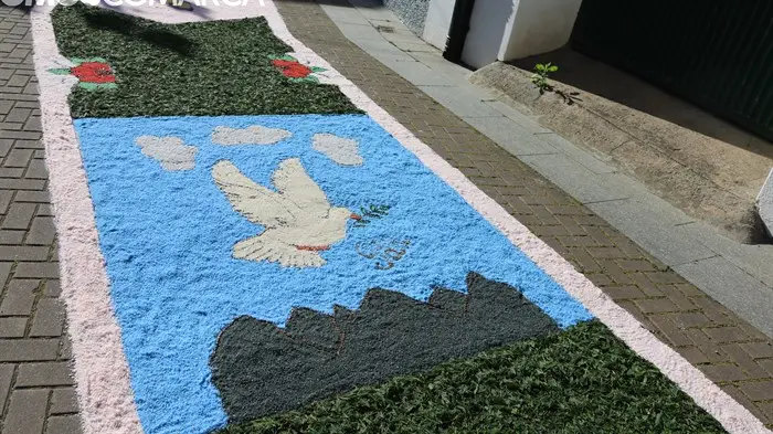 somoscomarca_240601_arua_petin_alfombrascorpus_n986 (16)