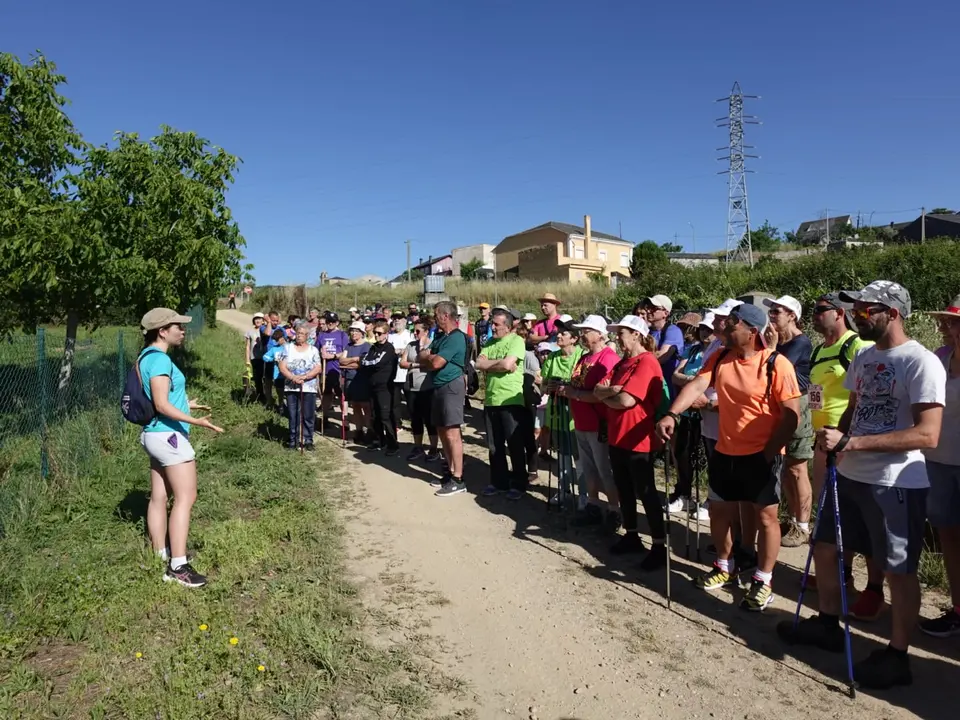 andainalarouco_02062024 (1)