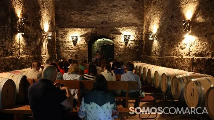 somoscomarca_240621_bodegajoaquinrebolledo_cueva_concierto (1)