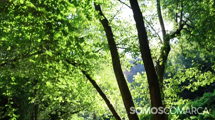 somoscomarca_240622_vilamartin_arcos_andainacruzroja_sendariofarelos (14)