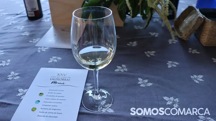 somoscomarca_240629_dovaldeorras_feiradoviño_godello_catavinosvaldeorras_premios (13)