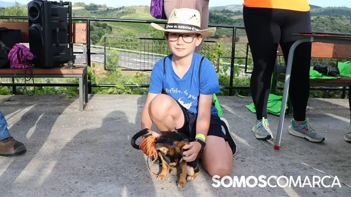 somoscomarca_240630_apotela_andaina_viñedos_vistas_panoramicas (3)