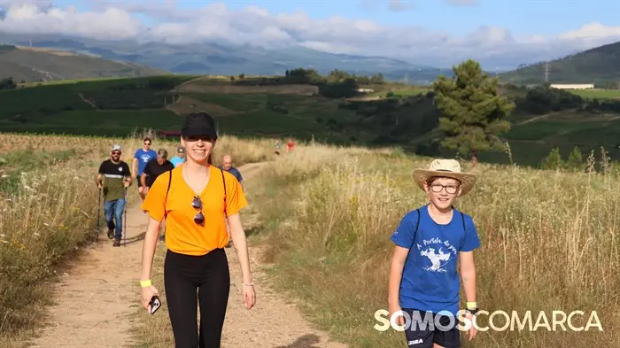 somoscomarca_240630_apotela_andaina_viñedos_vistas_panoramicas (12)