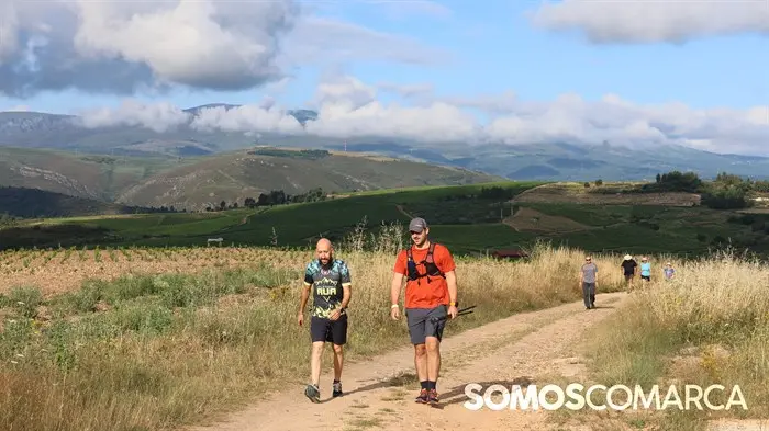 somoscomarca_240630_apotela_andaina_viñedos_vistas_panoramicas (15)