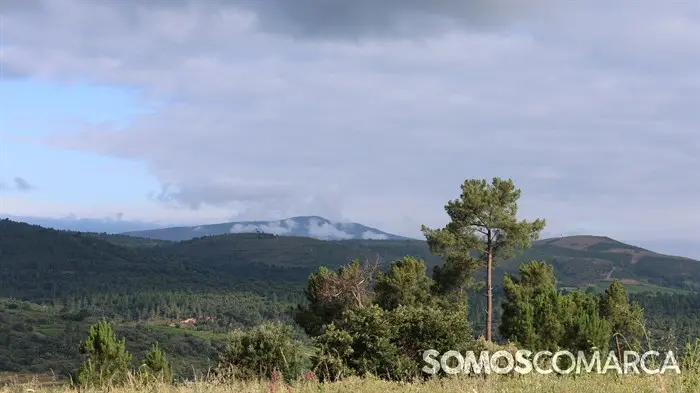 somoscomarca_240630_apotela_andaina_viñedos_vistas_panoramicas (16)